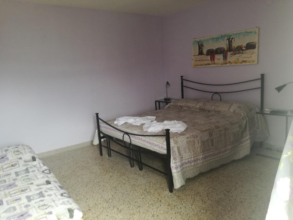 B&B La Rondinella Montecerboli エクステリア 写真
