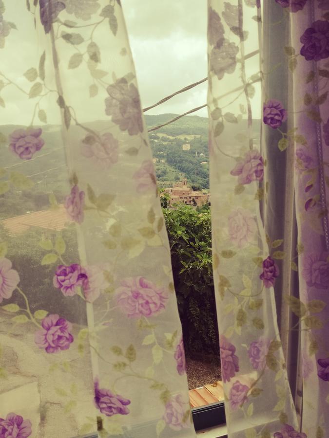 B&B La Rondinella Montecerboli エクステリア 写真