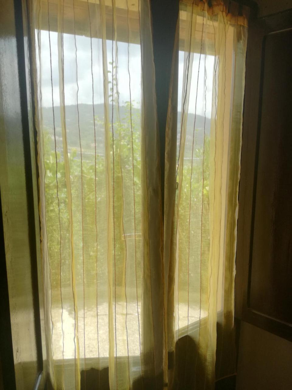 B&B La Rondinella Montecerboli エクステリア 写真